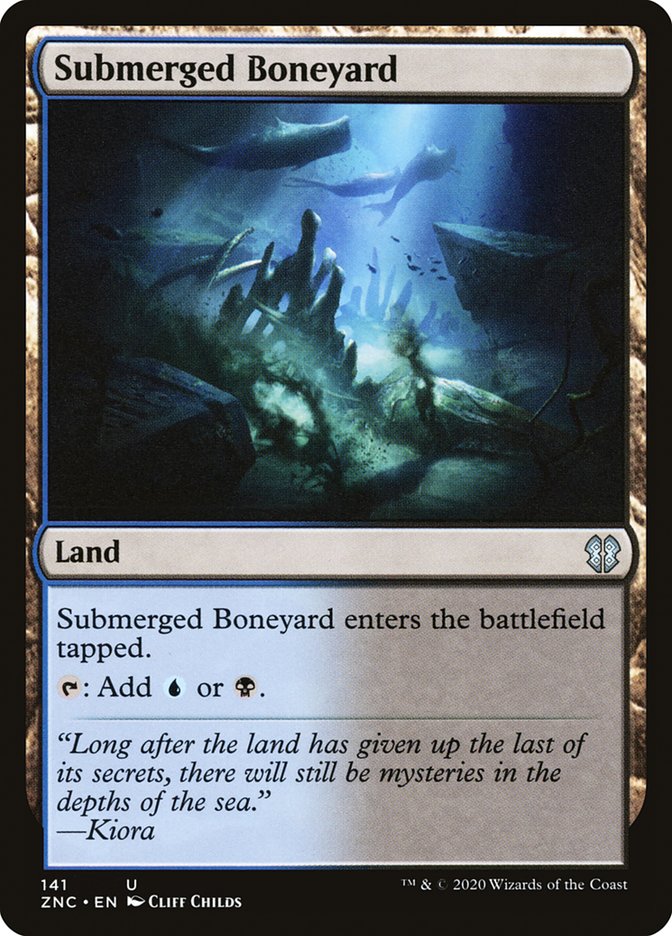 image Submerged Boneyard