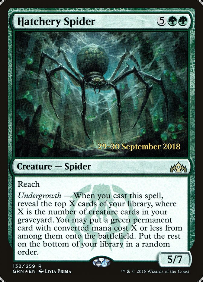 image Hatchery Spider