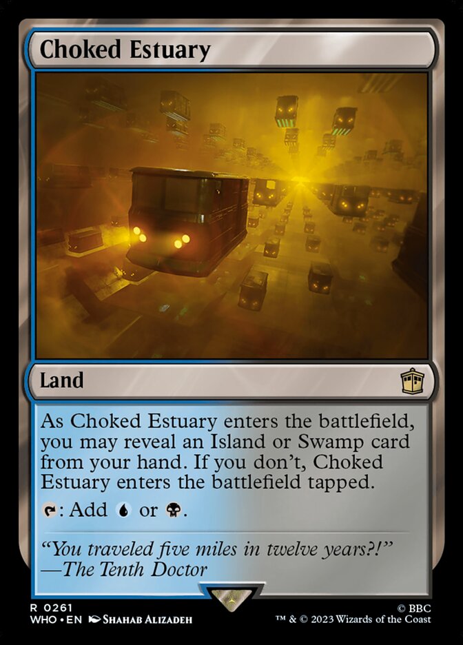 image Choked Estuary