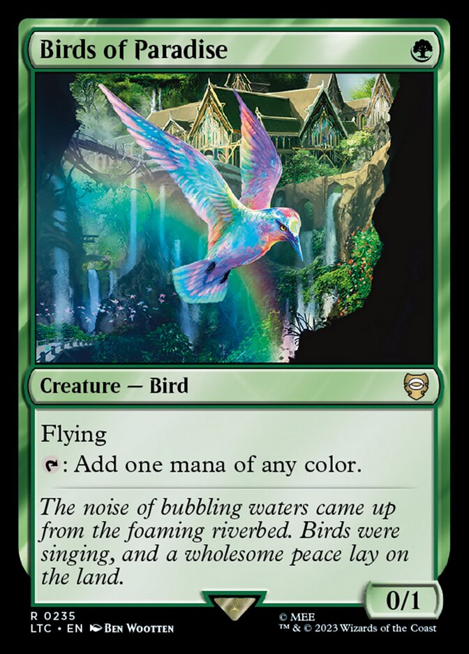 image Birds of Paradise