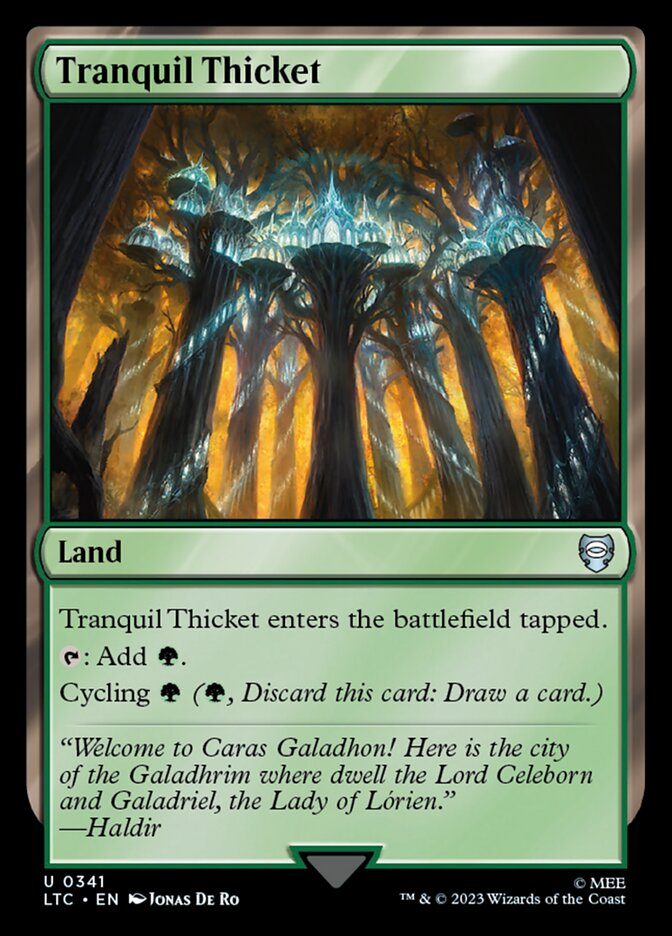 image Tranquil Thicket