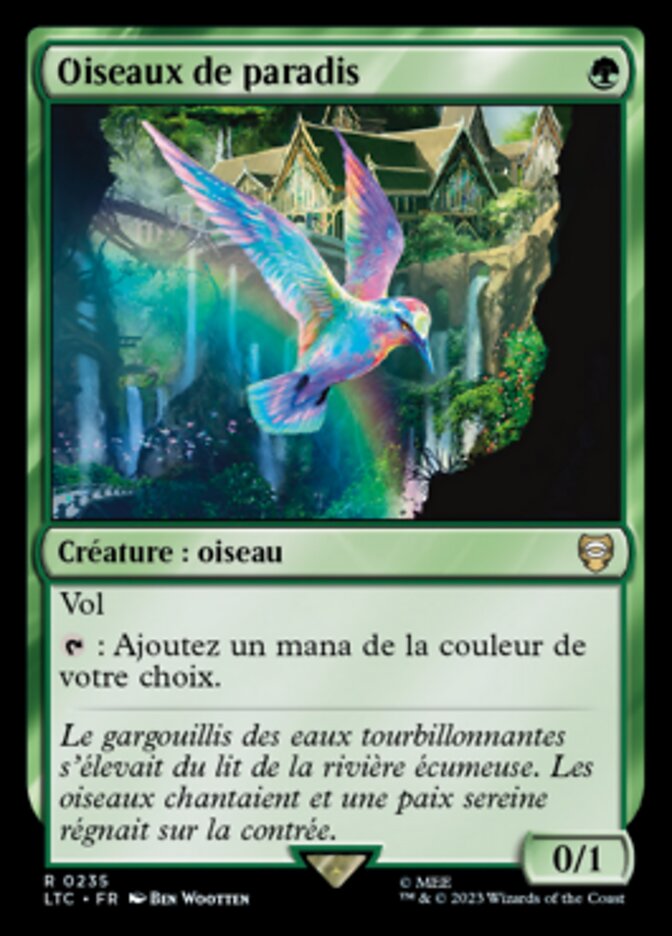 image Oiseaux de paradis