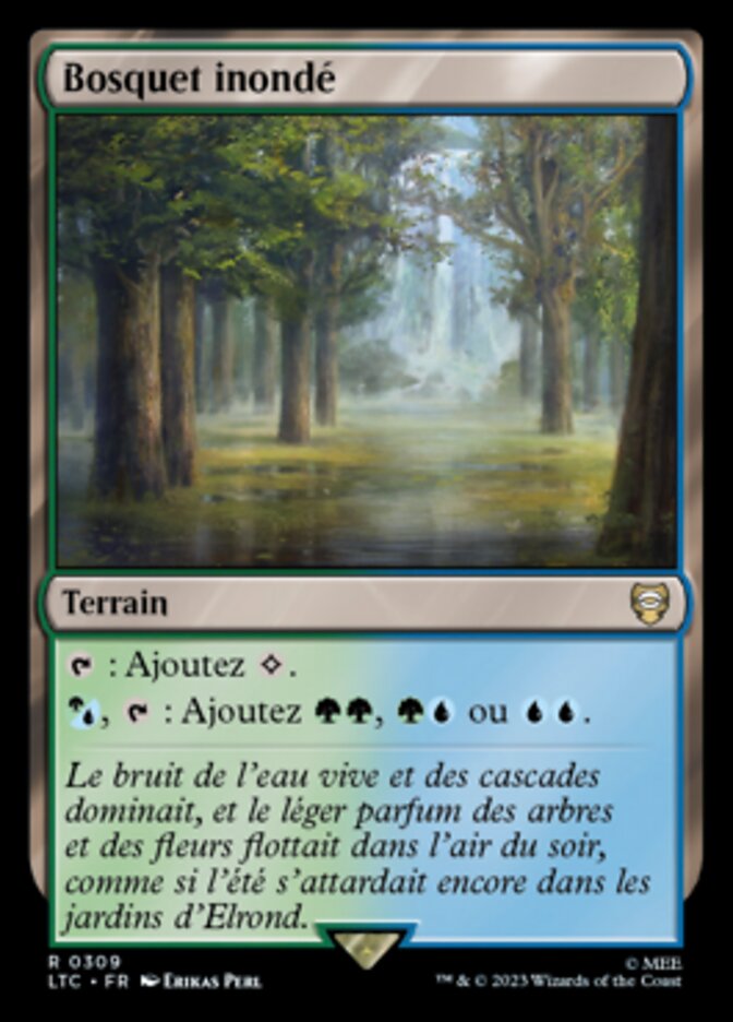 image Bosquet inondé