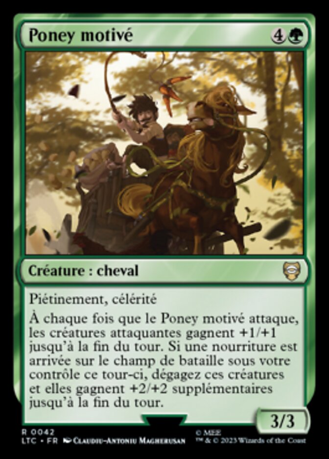 image Poney motivé