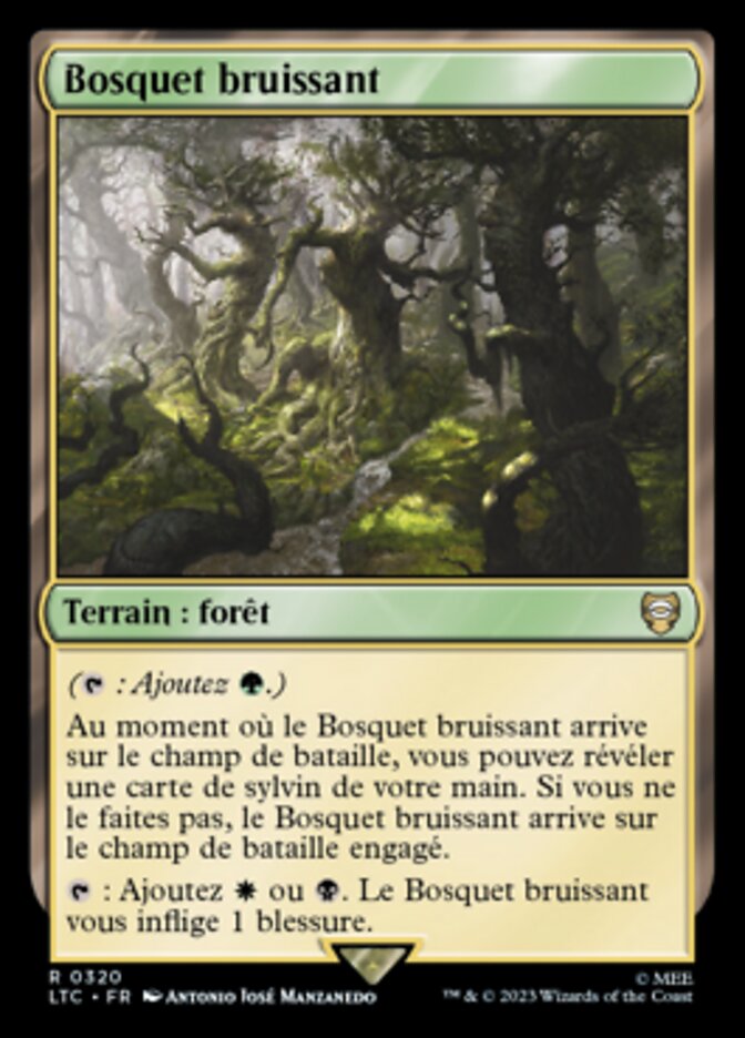 image Bosquet bruissant