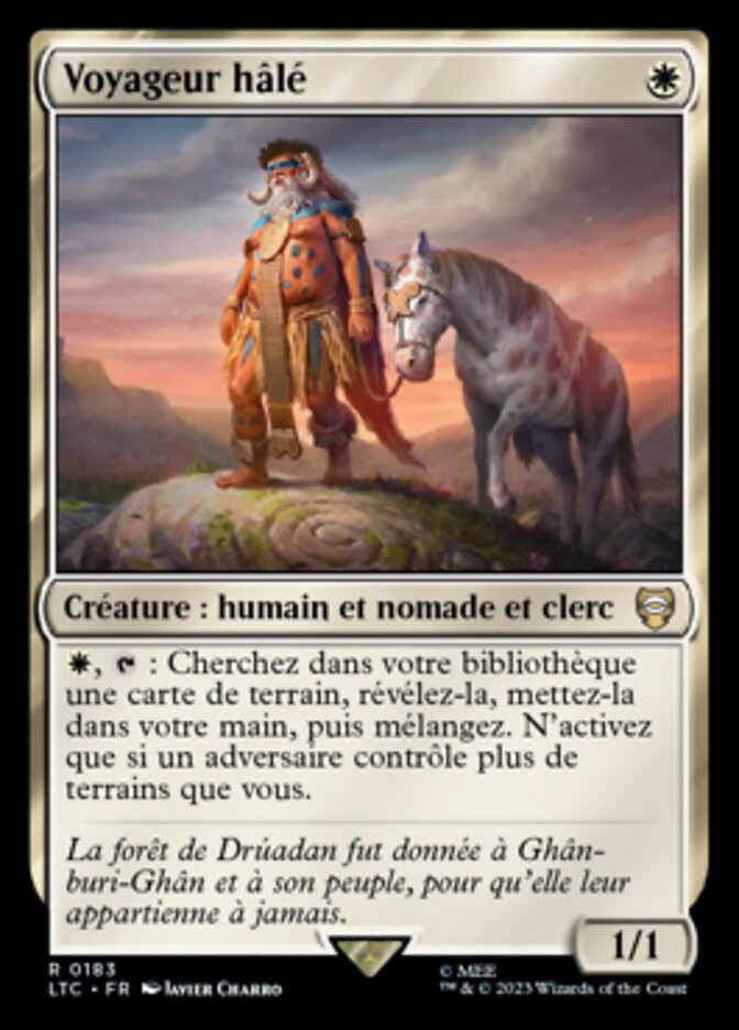 image Voyageur hâlé