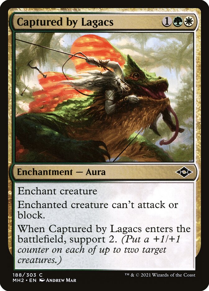 image Captured by Lagacs