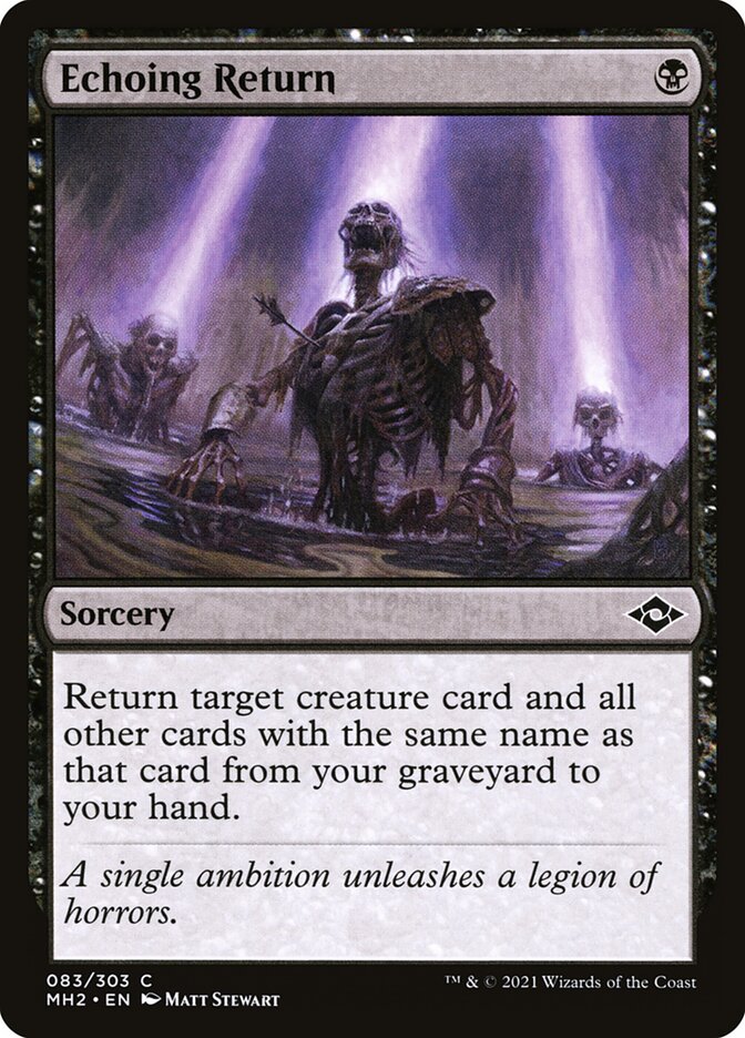 image Echoing Return