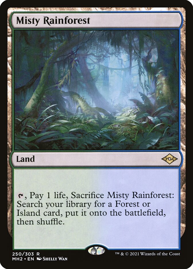 image Misty Rainforest