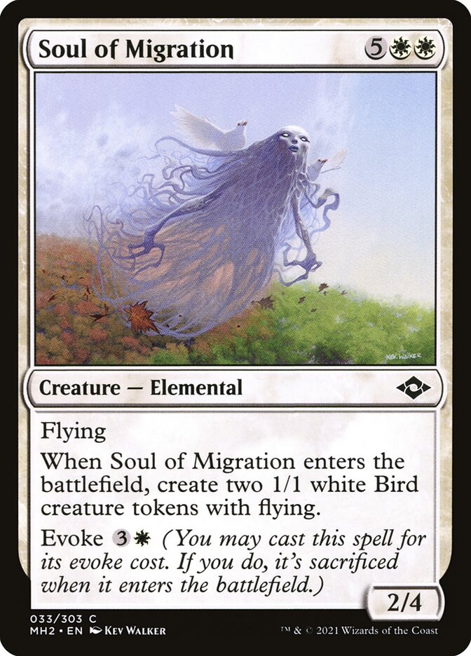 image Soul of Migration