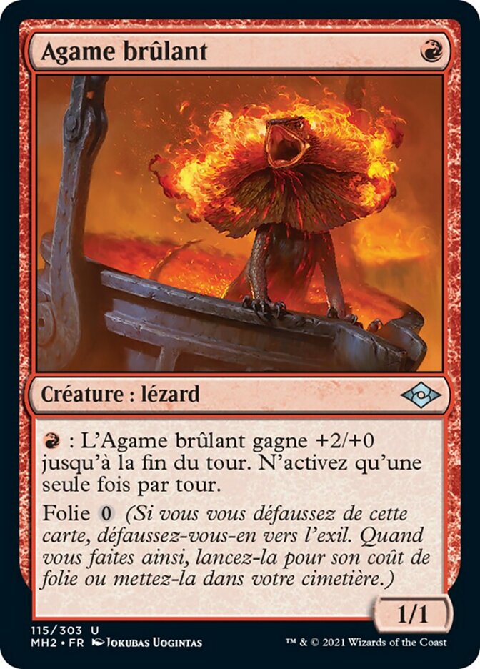 image Agame brûlant