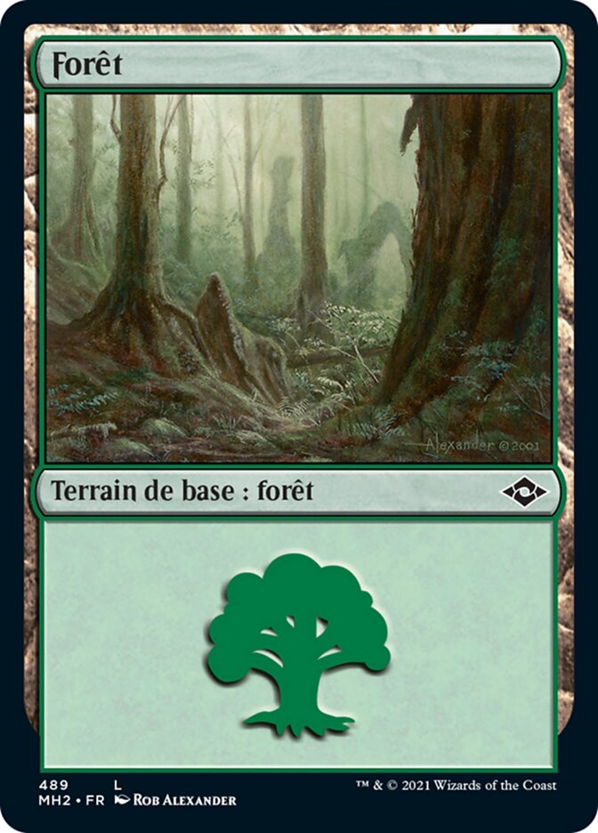 image Forêt