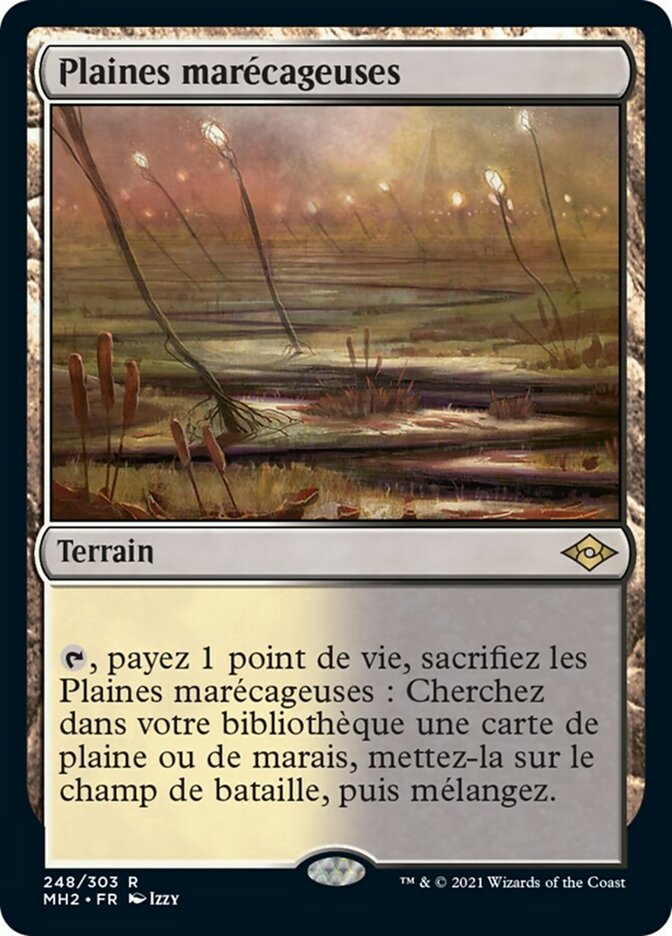 image Plaines marécageuses