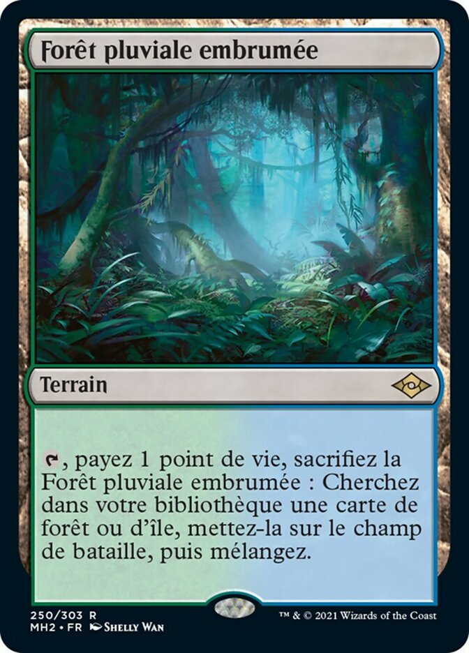 image Forêt pluviale embrumée