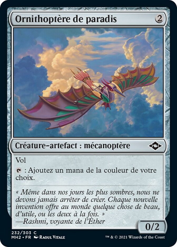 image Ornithoptère de paradis