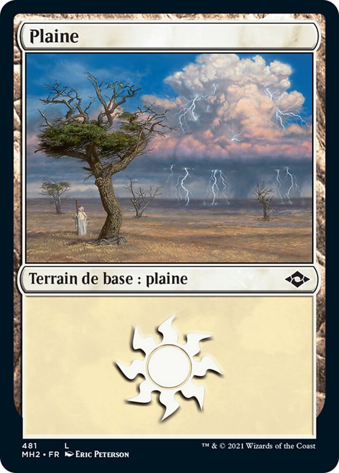 image Plaine