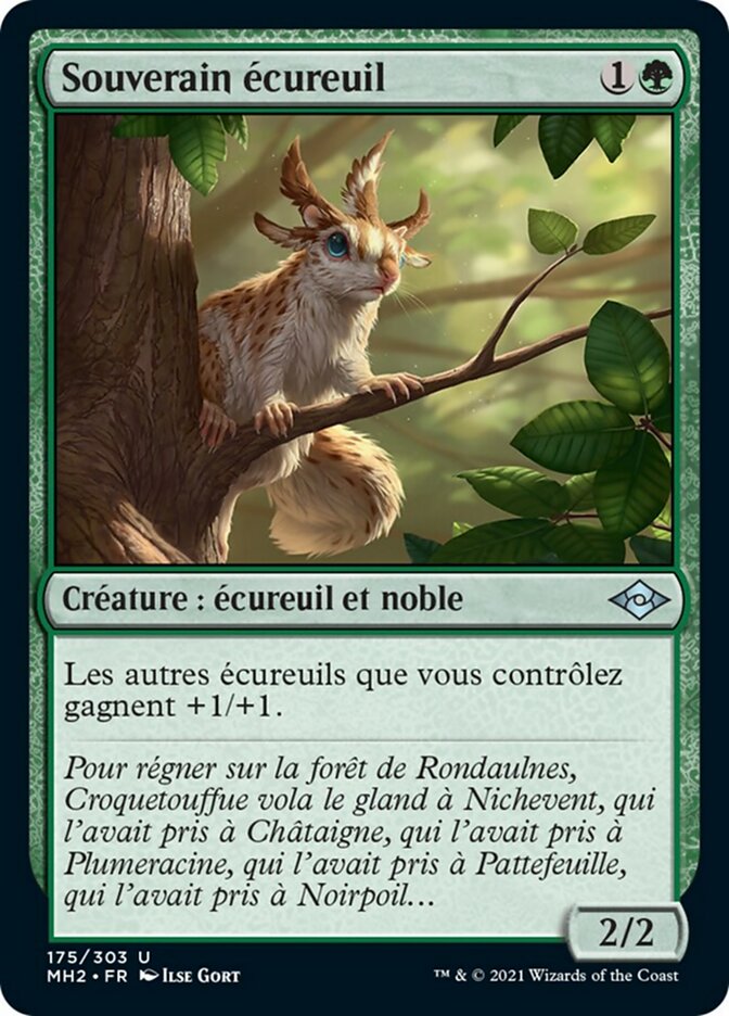 image Souverain écureuil