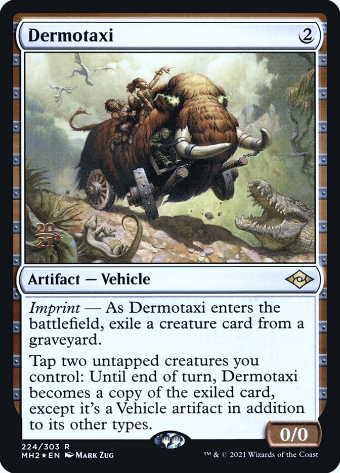 image Dermotaxi
