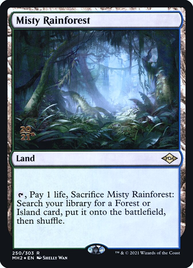 image Misty Rainforest