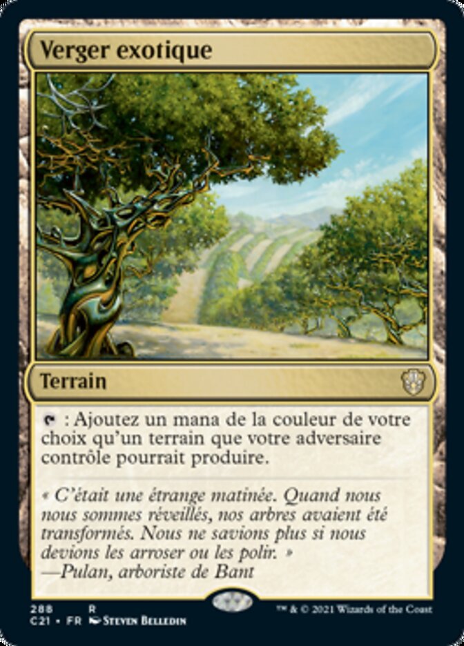 image Verger exotique
