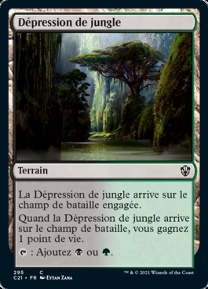 image Dépression de jungle