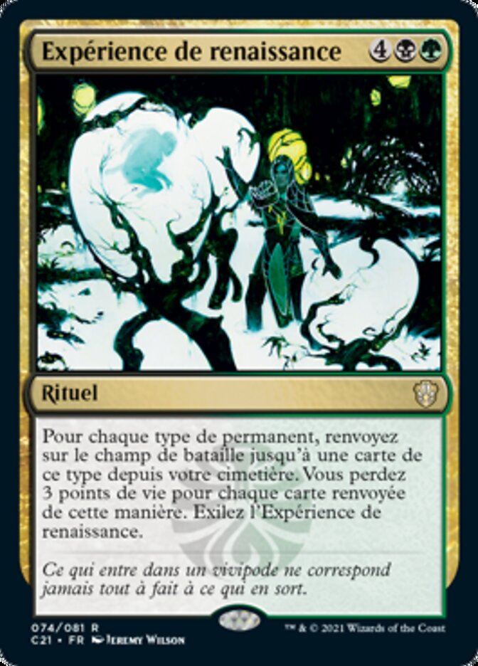 image Expérience de renaissance