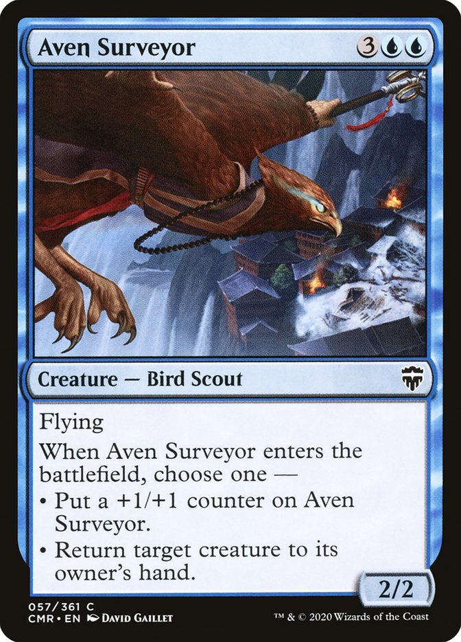image Aven Surveyor