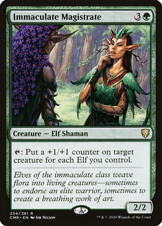 image Immaculate Magistrate