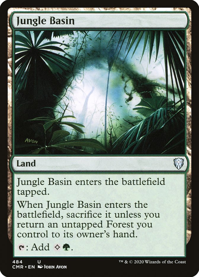 image Jungle Basin