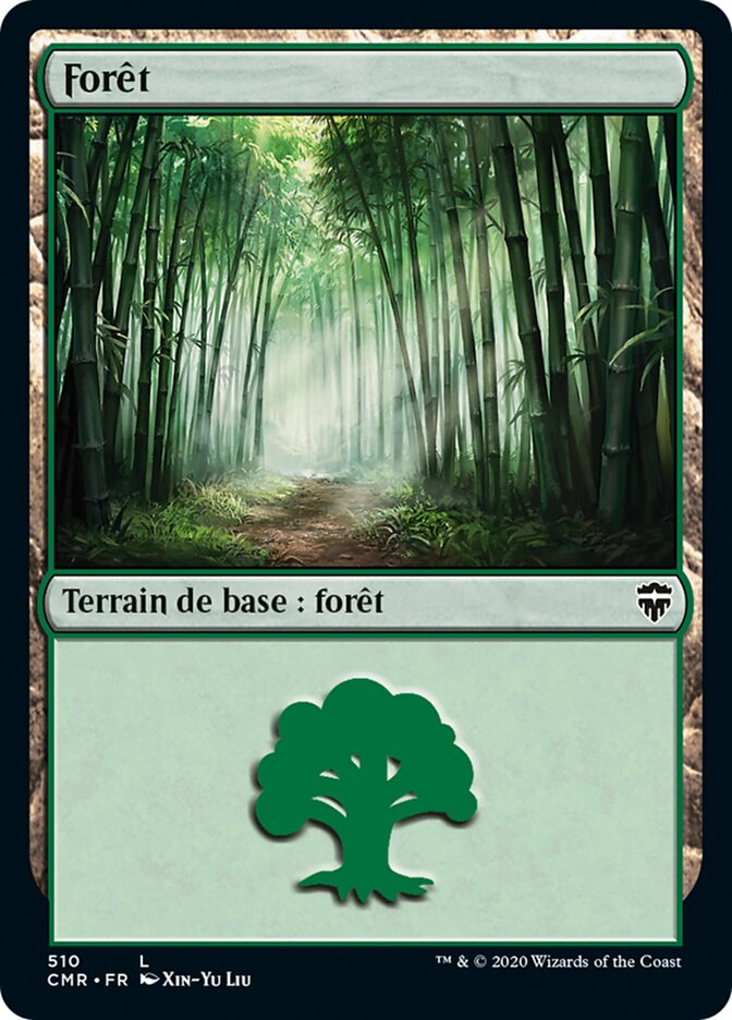 image Forêt