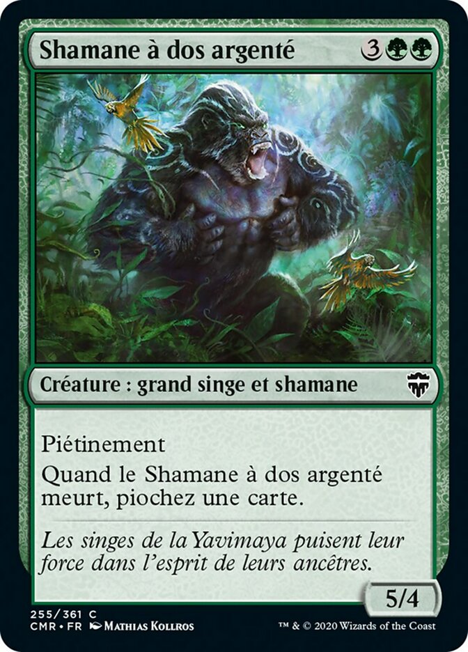 image Shamane à dos argenté