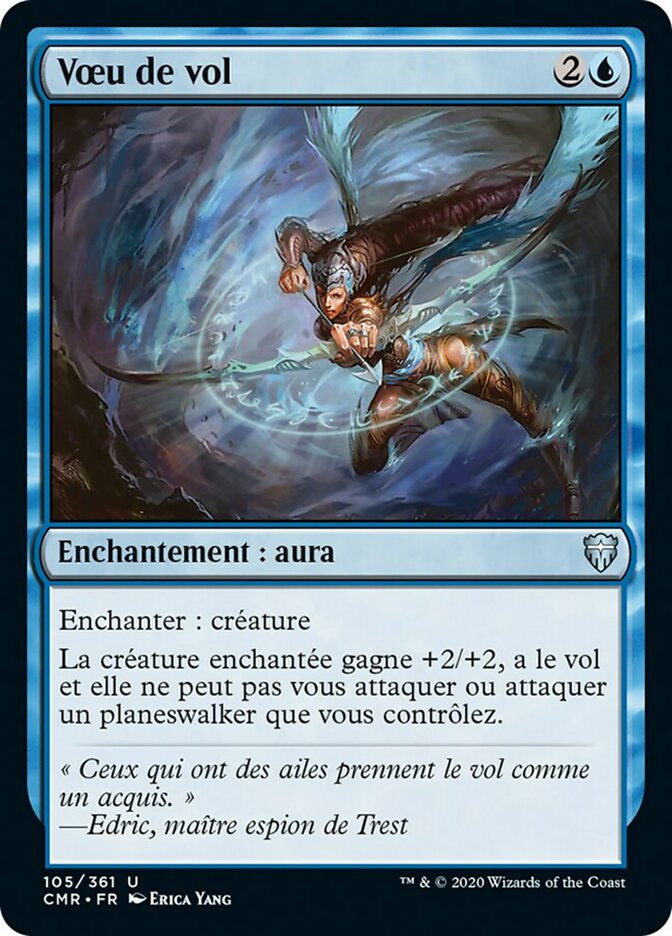 image Vœu de vol