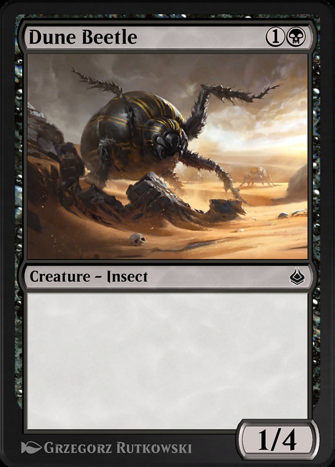 image Dune Beetle