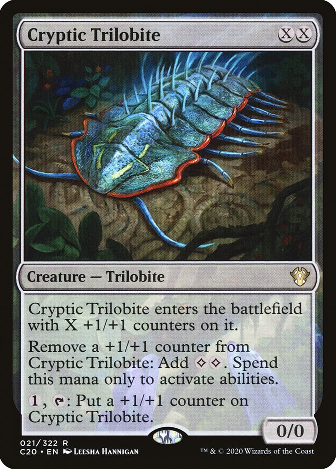 image Cryptic Trilobite