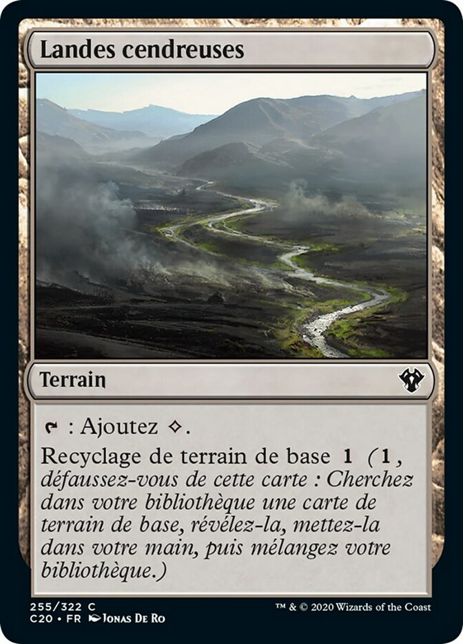 image Landes cendreuses