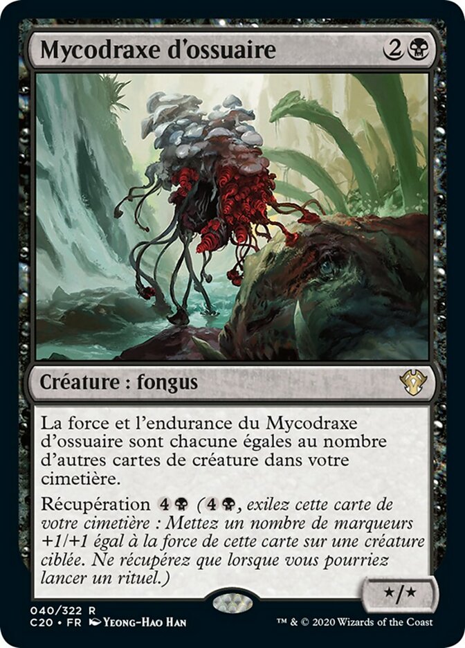 image Mycodraxe d'ossuaire