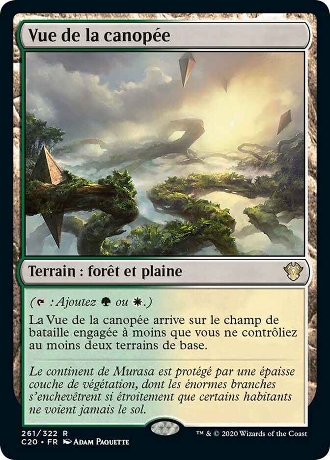 image Vue de la canopée