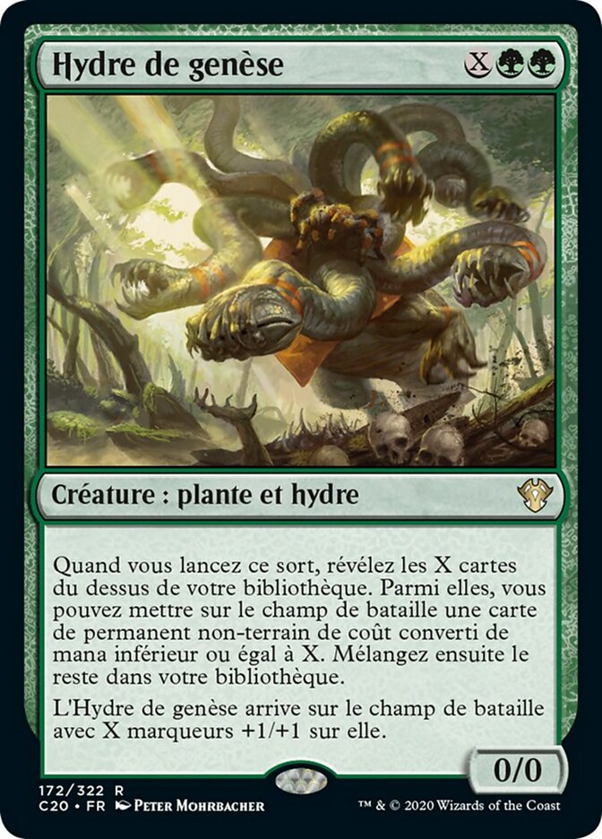 image Hydre de genèse