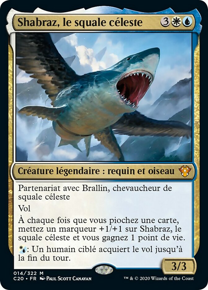 image Shabraz, le squale céleste