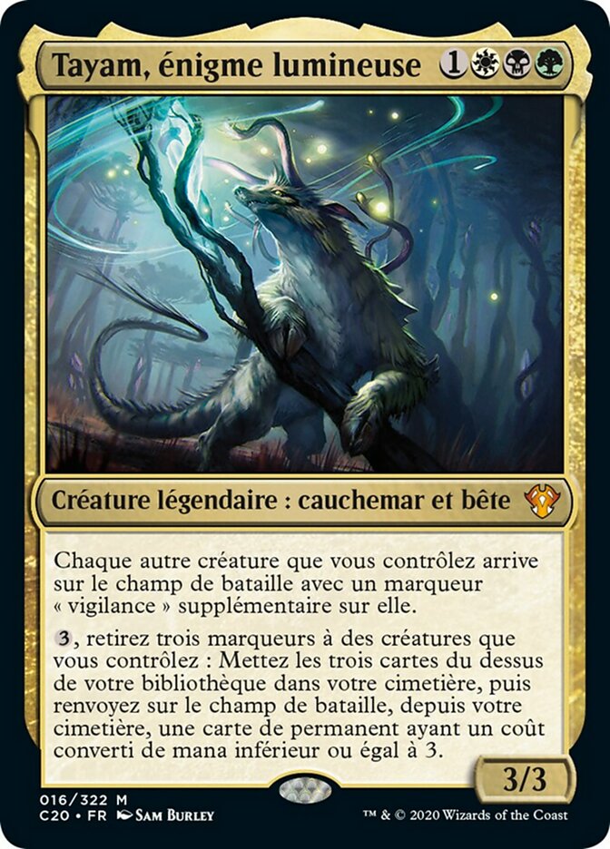 image Tayam, énigme lumineuse
