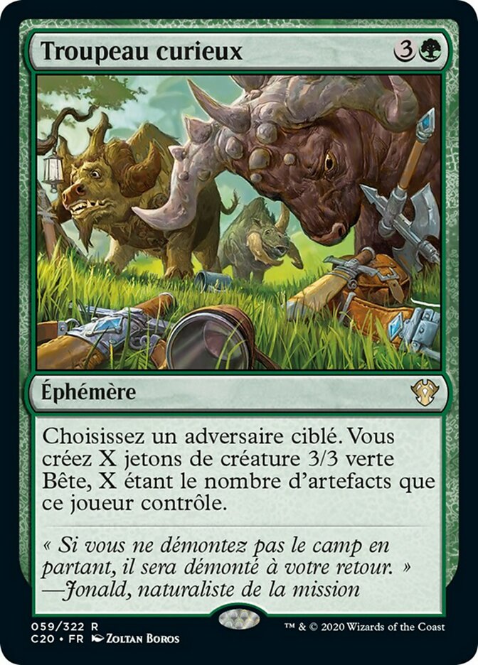image Troupeau curieux
