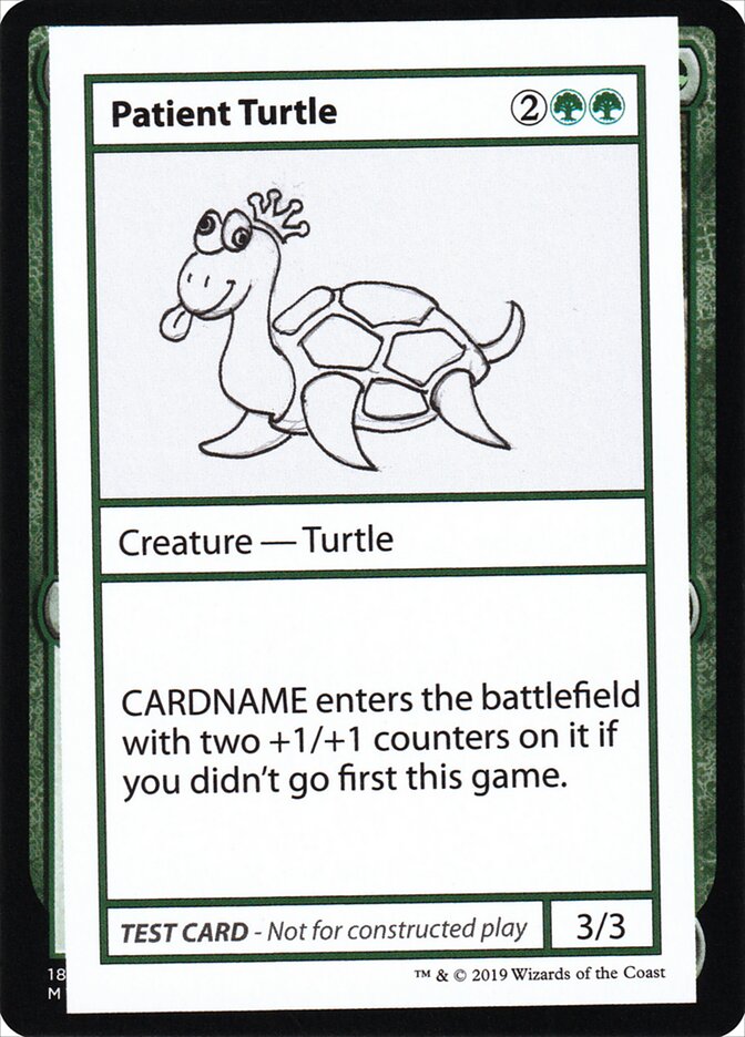 image Patient Turtle