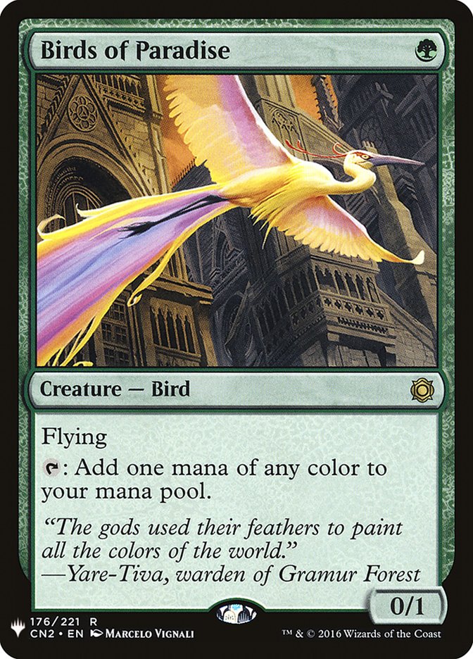 image Birds of Paradise