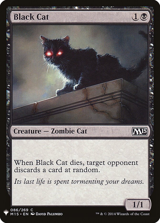 image Black Cat