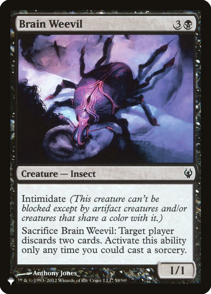 image Brain Weevil