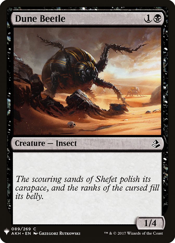 image Dune Beetle