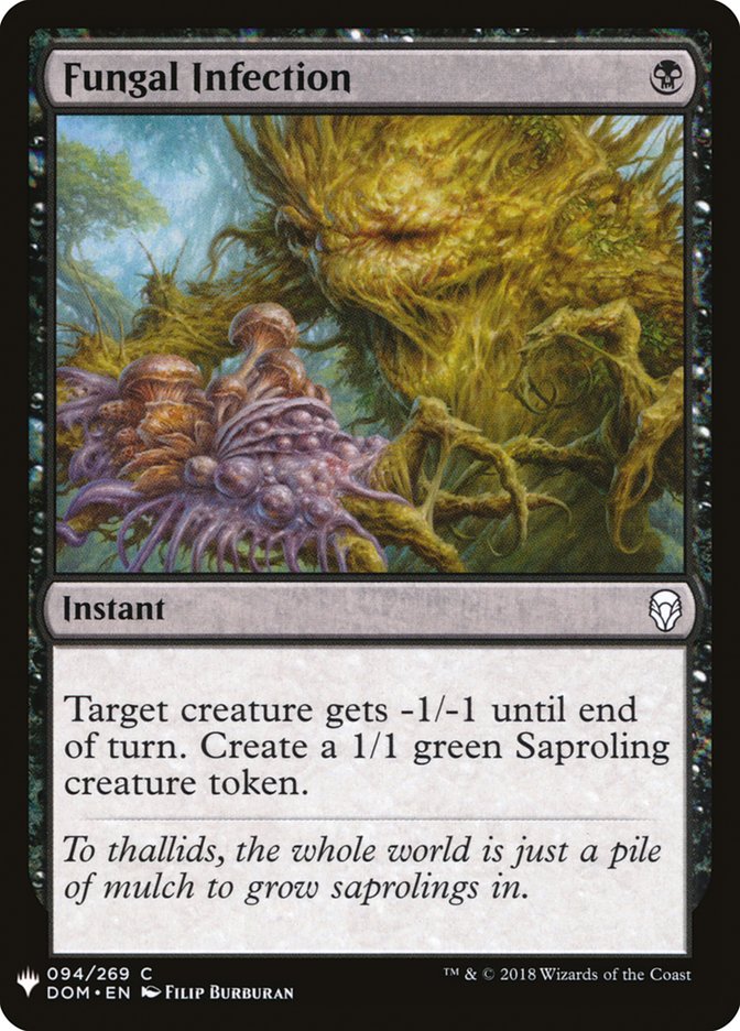 image Fungal Infection