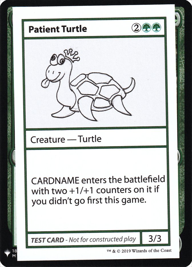 image Patient Turtle