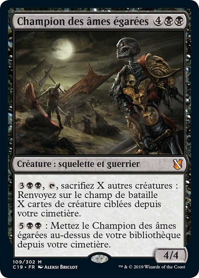image Champion des âmes égarées