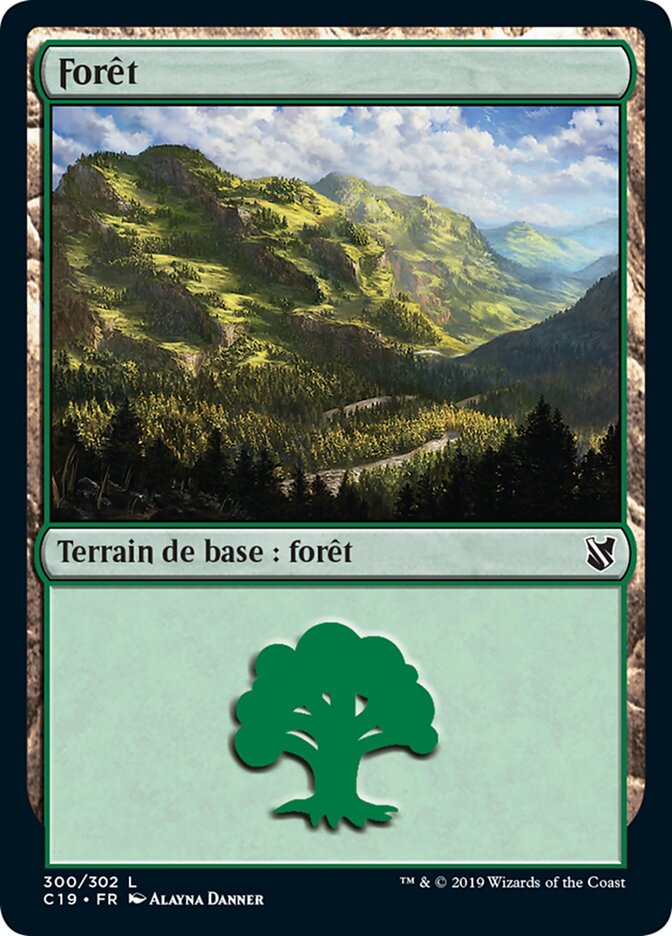 image Forêt